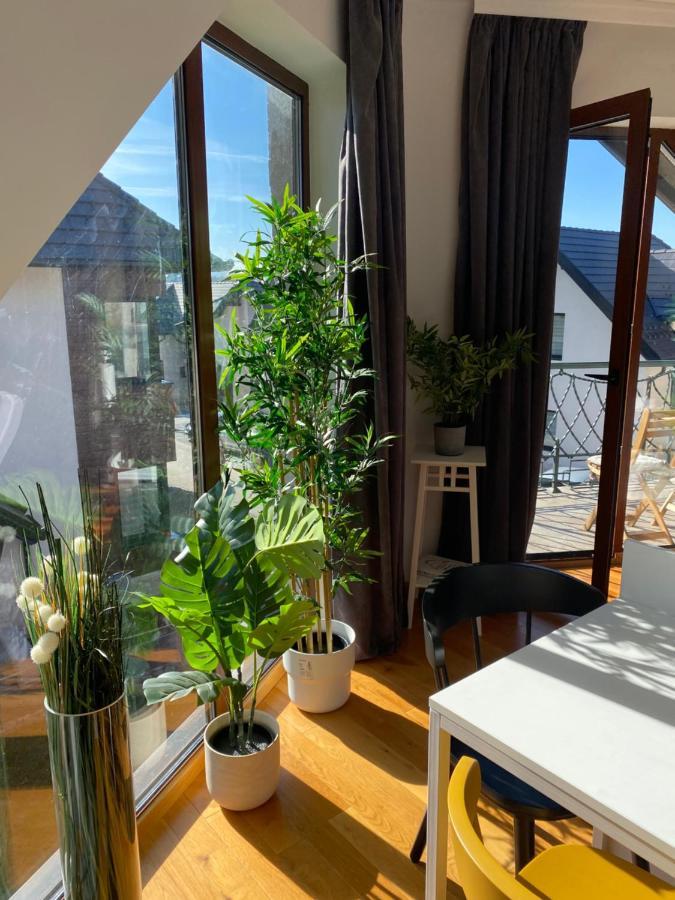 Apartment Sunny Sight